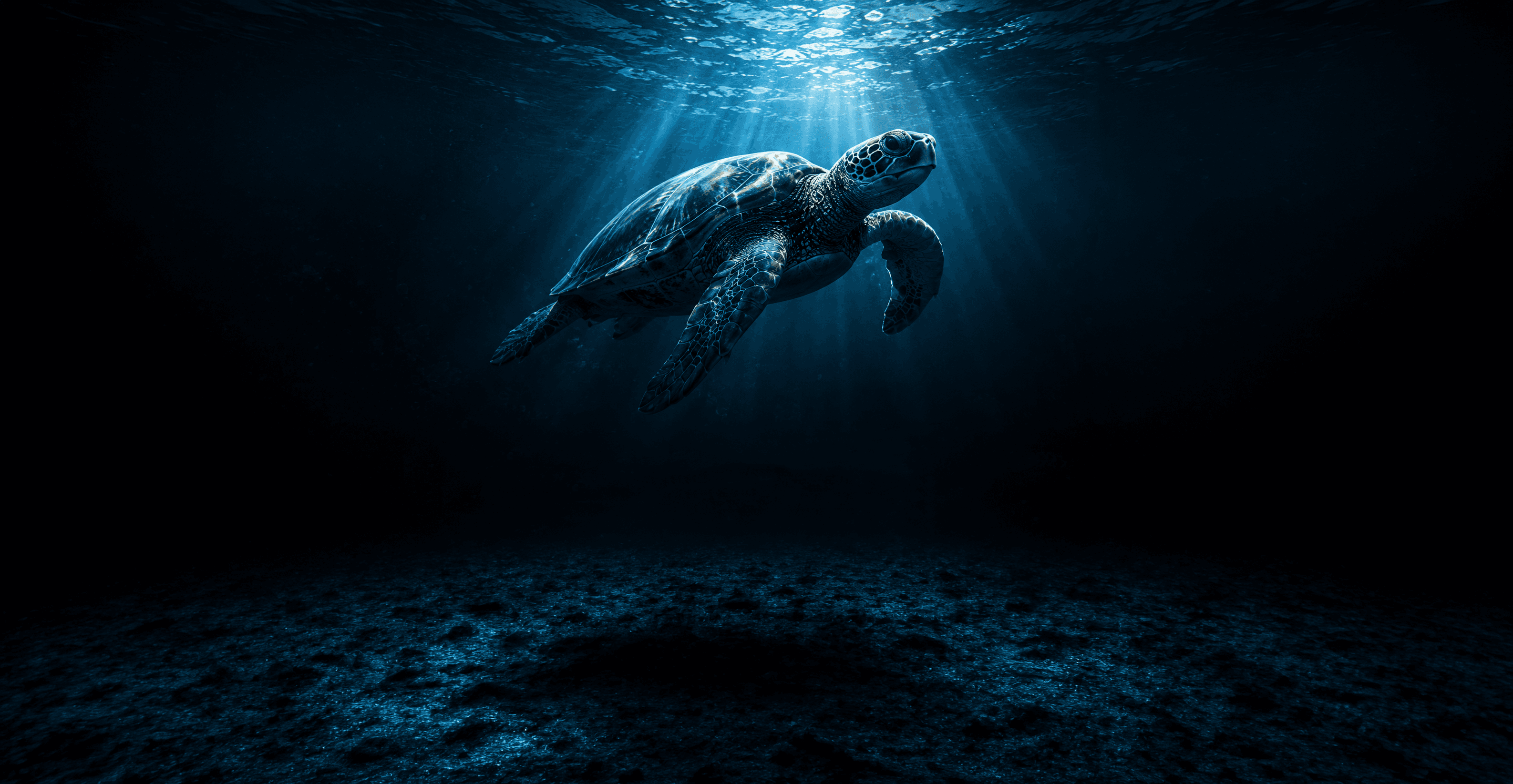 A honu gliding through dark ocean light above the seafloor