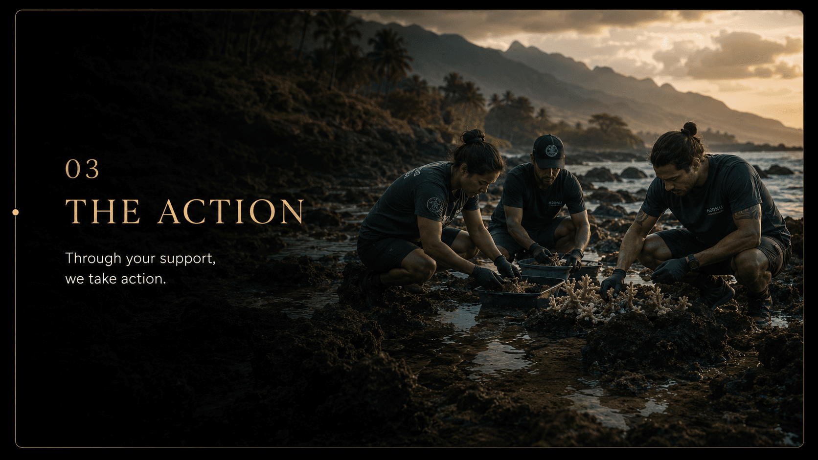 03 The Action — through your support, we take action