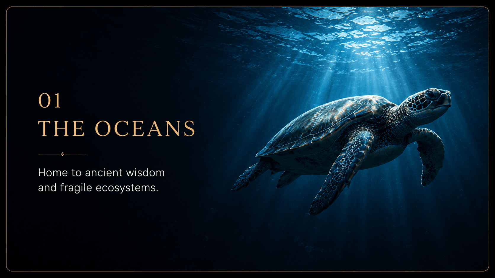 01 The Oceans — home to ancient wisdom and fragile ecosystems