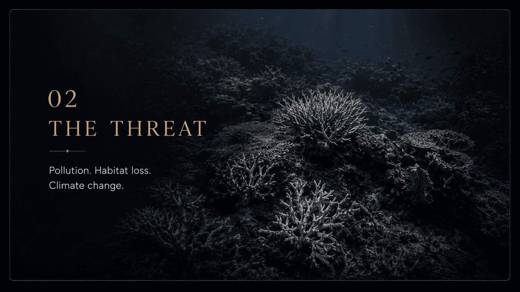 02 The Threat — pollution, habitat loss, climate change