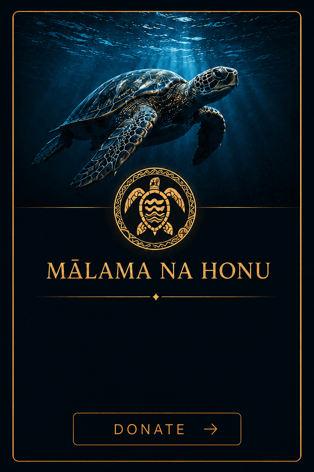 Mālama na Honu conservation organization